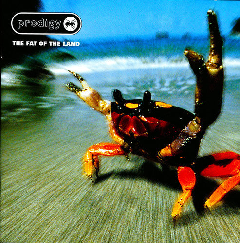 Prodigy: The Fat Of The Land - VINYL