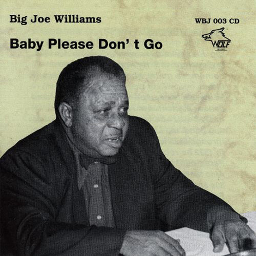 Big Joe Williams: Baby Please Don't Go - CD