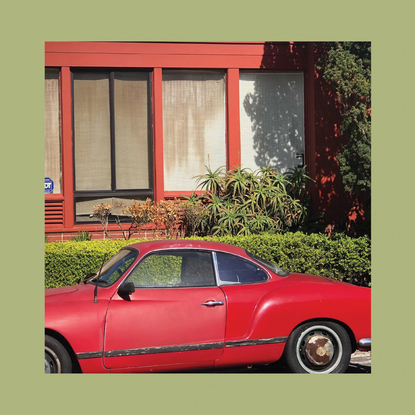 The Reds, Pinks and Purples - The Town That Cursed Your Name - VINYL