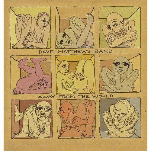 Dave Matthews Band - Away from the World - VINYL