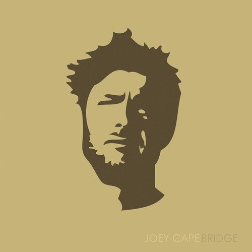 Joey Cape: Bridge - VINYL