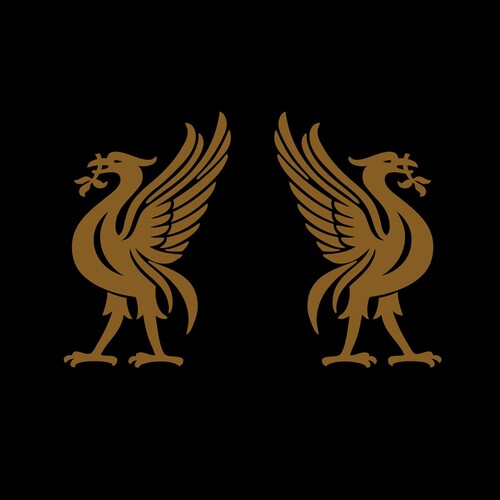 Joey Cape: Liverbirds - VINYL