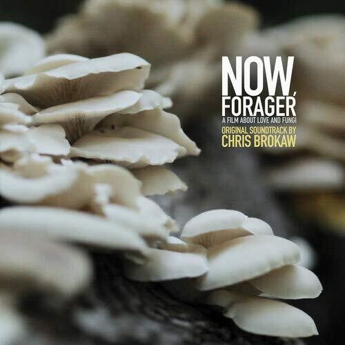 Chris Brokaw: Now Forager (Original Soundtrack) - VINYL