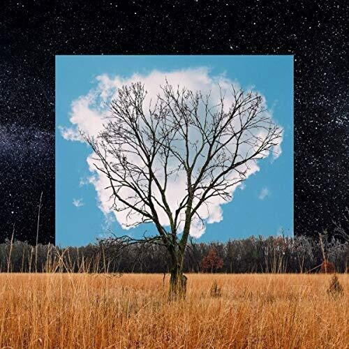 Fink: Bloom Innocent - CD