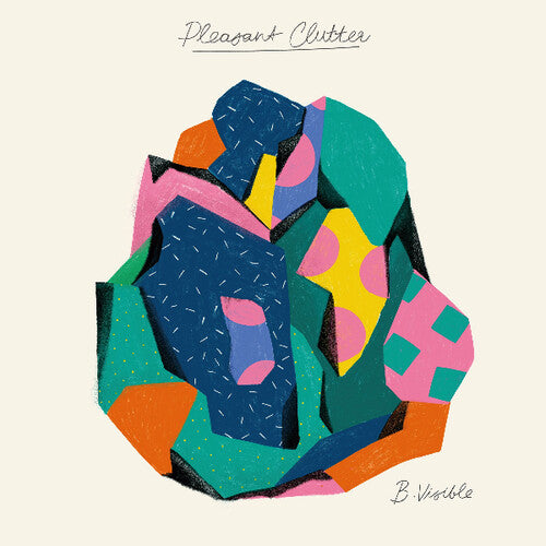 B Visible: Pleasant Clutter - VINYL