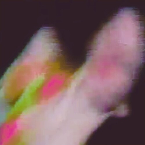 Function: Existenz - CD