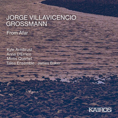 Various Artists: Jorge Villavicencio Grossmann: From Afar (Various Artists) - CD