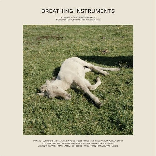 Various Artists: Breathing Instruments (Various Artists) - VINYL