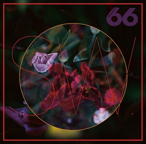 SW: TRUElipS - VINYL