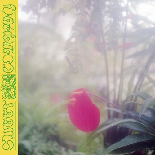 Jabu: Sweet Company - VINYL