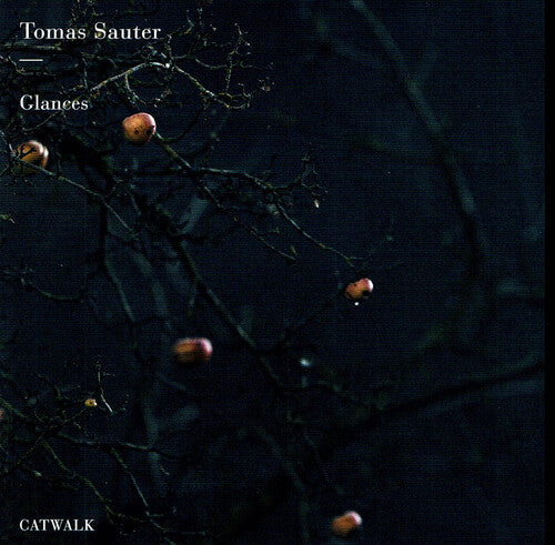 Sauter / Sauter: Glances - CD