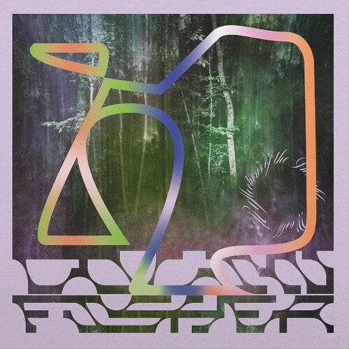 Colin Fisher: Reflections Of The Invisible World - VINYL