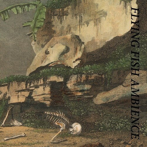 Rainforest Spiritual Enslavement: Flying Fish Ambience - VINYL