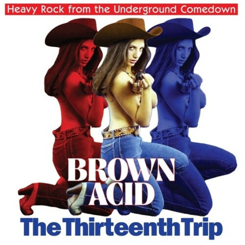 Various Artists - Brown Acid - The Thirteenth Trip - VINYL