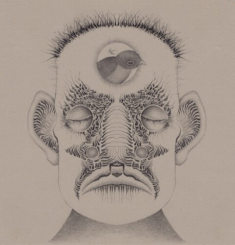 Brian Thummler: Ghost Birds - VINYL