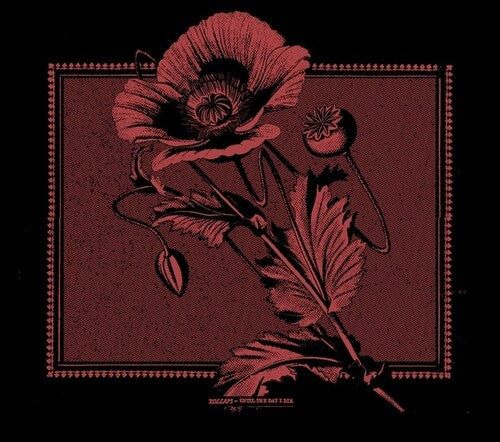 Kollaps: Until The Day I Die - CD