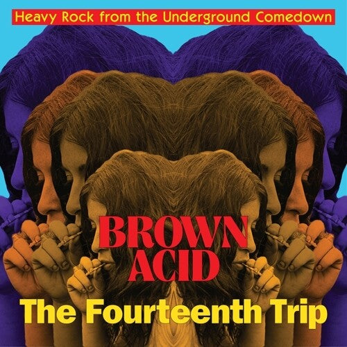 Various Artists - Brown Acid: The Fourteenth Trip - VINYL