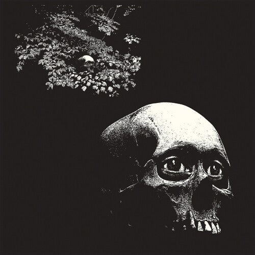 Osees - A Foul Form - VINYL