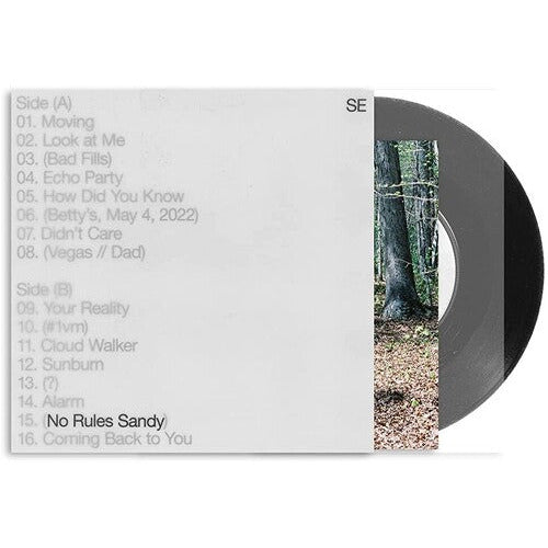 Sylvan Esso - No Rules Sandy - VINYL