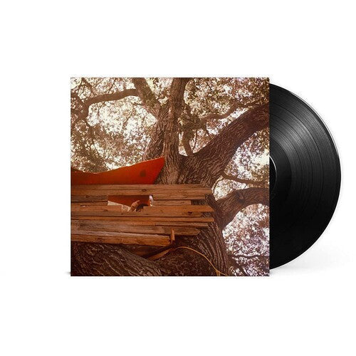 Backseat Lovers - Waiting To Spill - VINYL