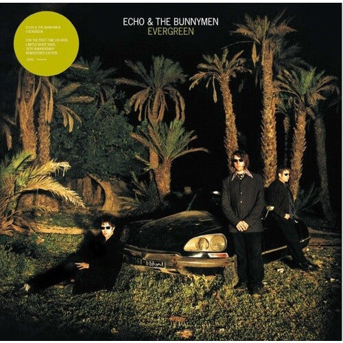 Echo & the Bunnymen - Evergreen - VINYL