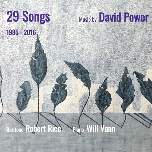 Rice, Robert / Vann, William: 29 Songs: Music By David Power 1985-2016 - CD