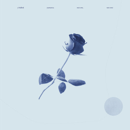 Y Bulbul / Yumurta: Not One, Not Two - VINYL