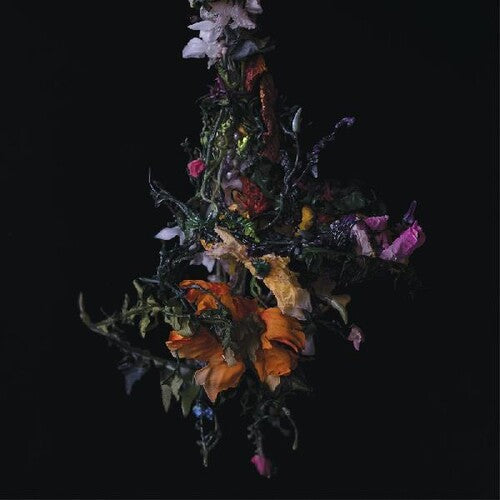 BIG/BRAVE - Nature Morte - VINYL
