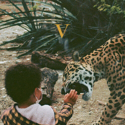 Unknown Mortal Orchestra - V - VINYL
