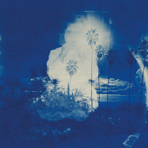 Fruit Bats - A River Running to Your Heart - VINYL