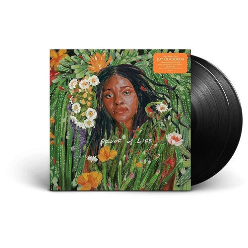 Joy Oladokun - Proof Of Life - VINYL