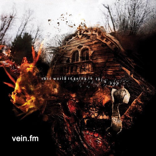 Vein.Fm: This World Is Going to Ruin You - VINYL