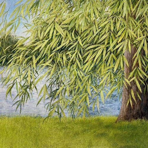 Martin Simpson: Nothing But Green Willow : The Songs Of Mary Sands And Jane Gentry - CD