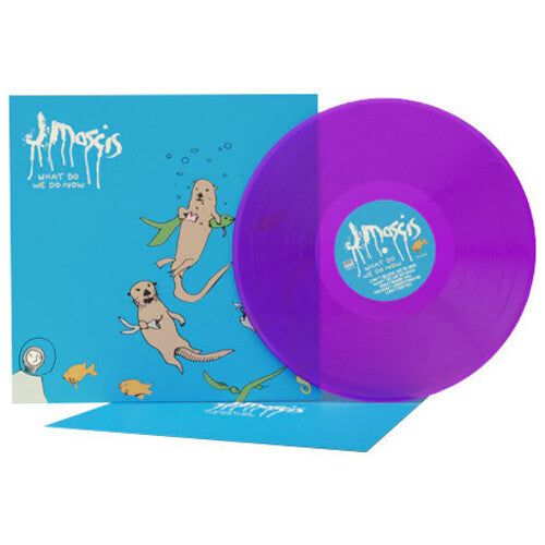 J Mascis - What Do We Do Now - VINYL