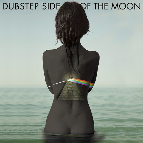 Various Artists: Dubstep Side Of The Moon (Various Artists) - VINYL