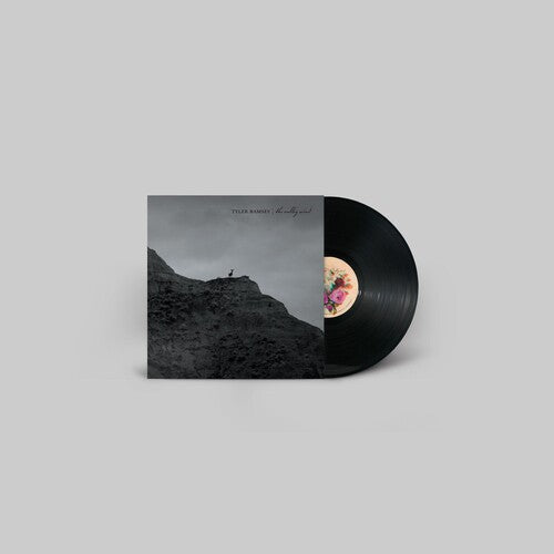 Tyler Ramsey: The Valley Wind - VINYL