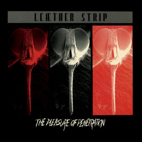 Leather Strip: The Pleasure of Penetration - VINYL