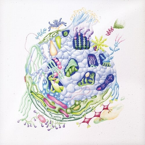 David Edren: Binnenin - VINYL