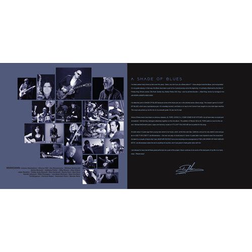 Dave Mason - A Shade of Blues - VINYL
