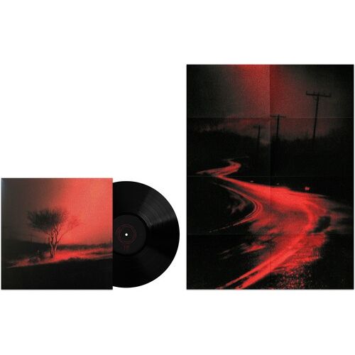 Joji - Piss In The Wind - VINYL