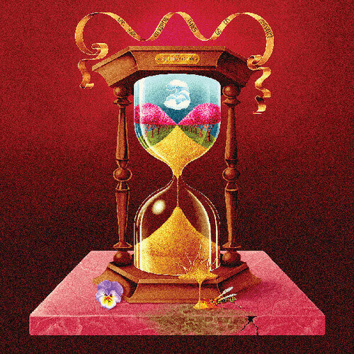 The Soft Pink Truth: Can Such Delightful Times Go On Forever? - VINYL