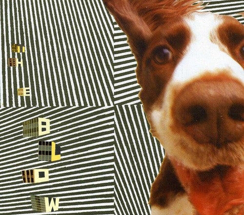 The Blow: The Concussive Caress, Or, Casey Caught Her Mom Singing Along With TheVacuum - CD