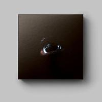 Roger Waters - The Dark Side of the Moon Redux - Box Set