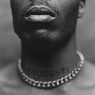 DMX - Exodus - VINYL