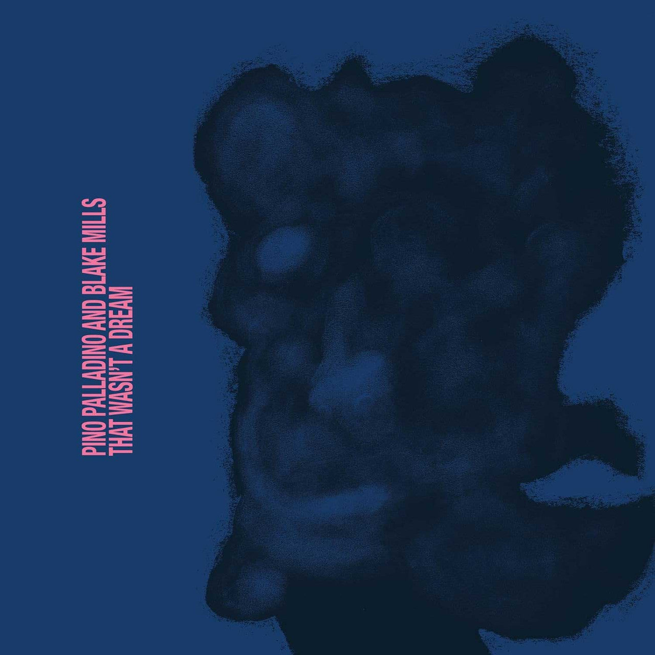 Pino Palladino & Blake Mills - That Wasn't a Dream - VINYL
