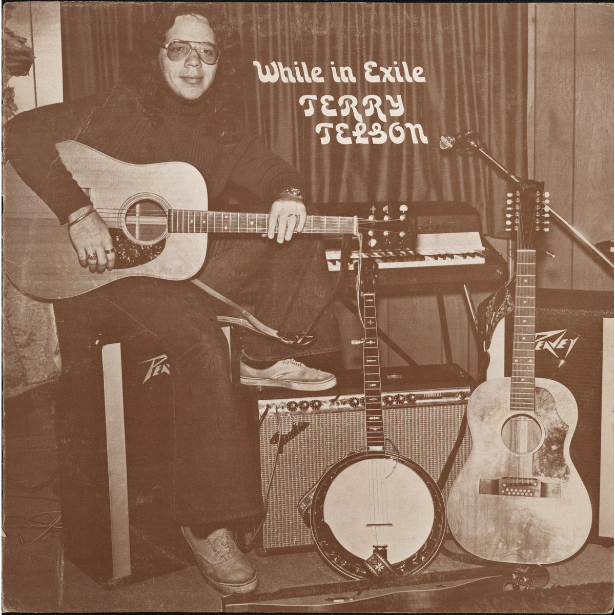 Terry Telson - While in Exile - VINYL