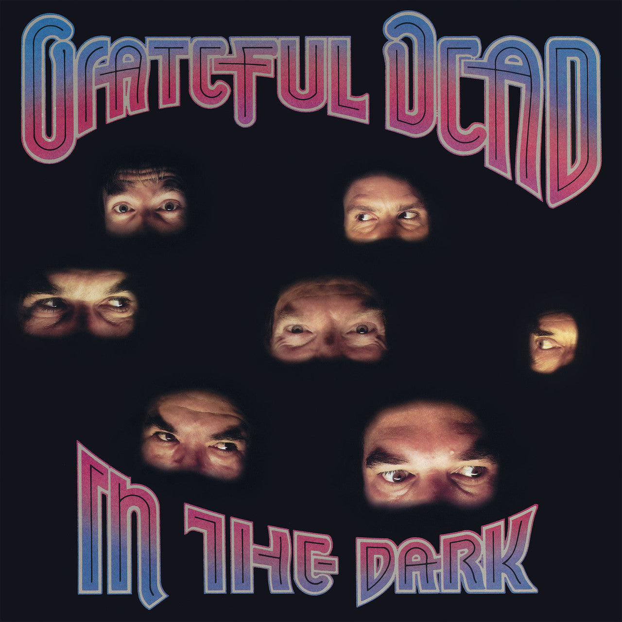 Grateful Dead - In The Dark - VINYL