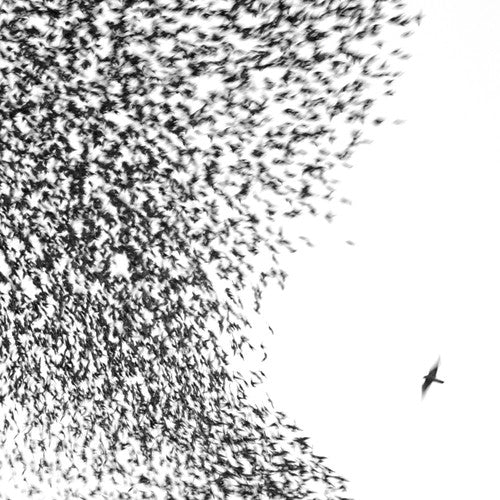 Wilco - Sky Blue Sky - VINYL