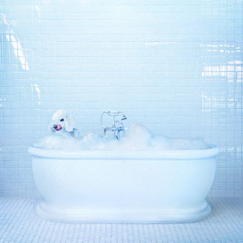 Frankie Cosmos - Vessel - VINYL
