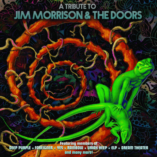 Various Artists - A Tribute To Jim Morrison & The Doors - VINYL